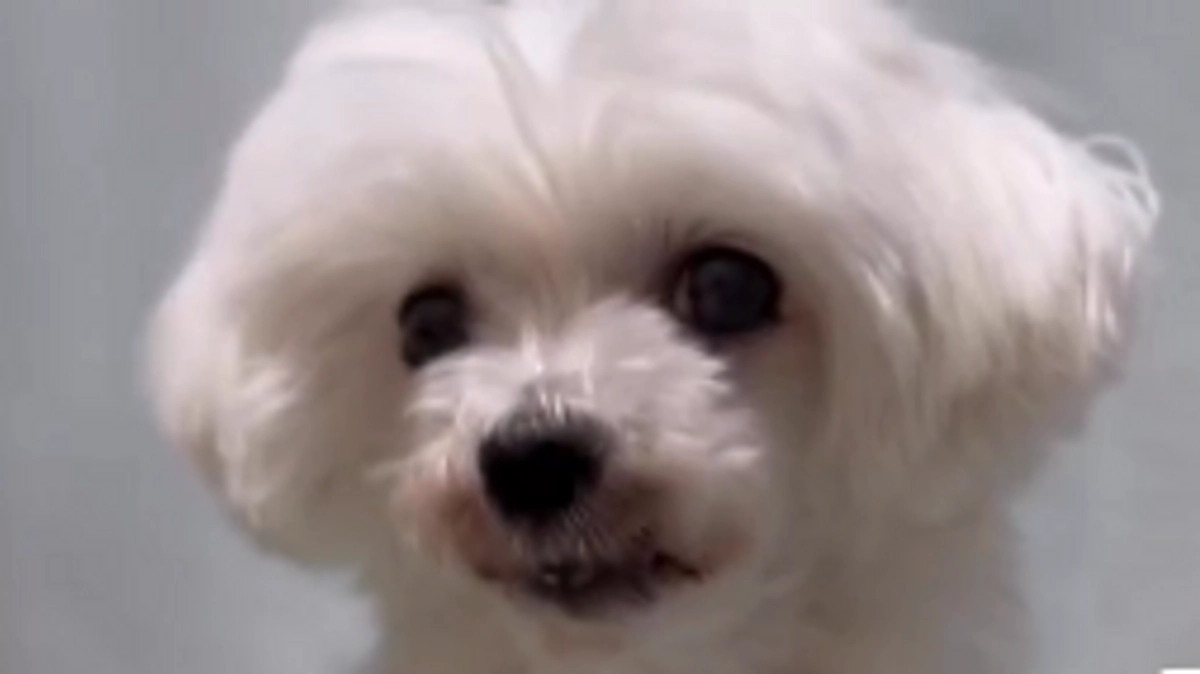 病院で失神してしまいました。