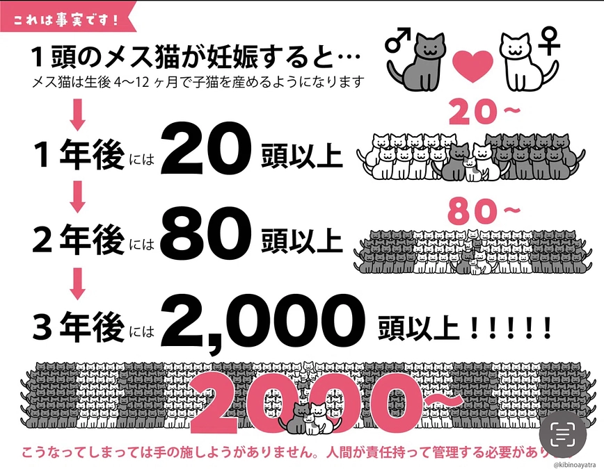 Why 多頭飼育崩壊 天使と悪魔