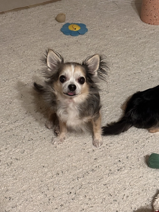 ららの病気について