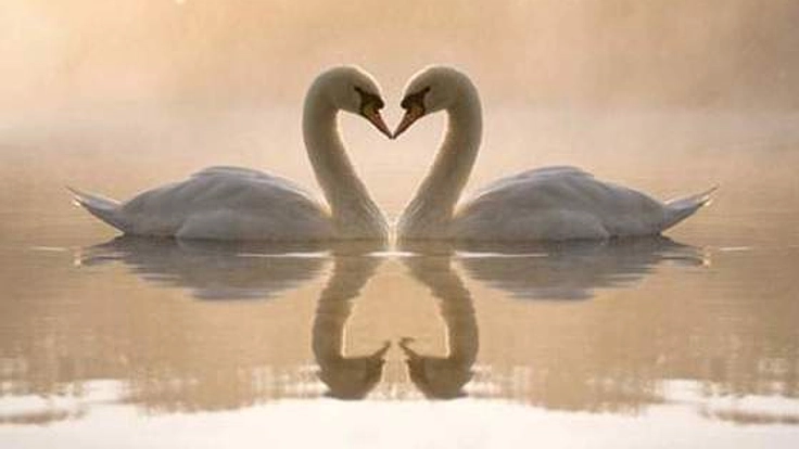 3年で30人からモテる本⁉︎恋愛や結婚が出来る人を増やしたい