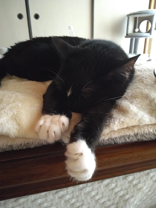 6/15はなちゃんの様子