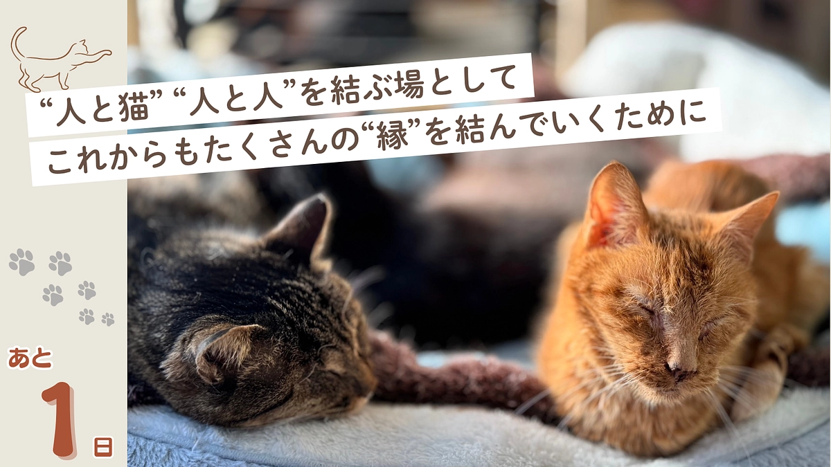 明日23時をもってプロジェクトが終了します！