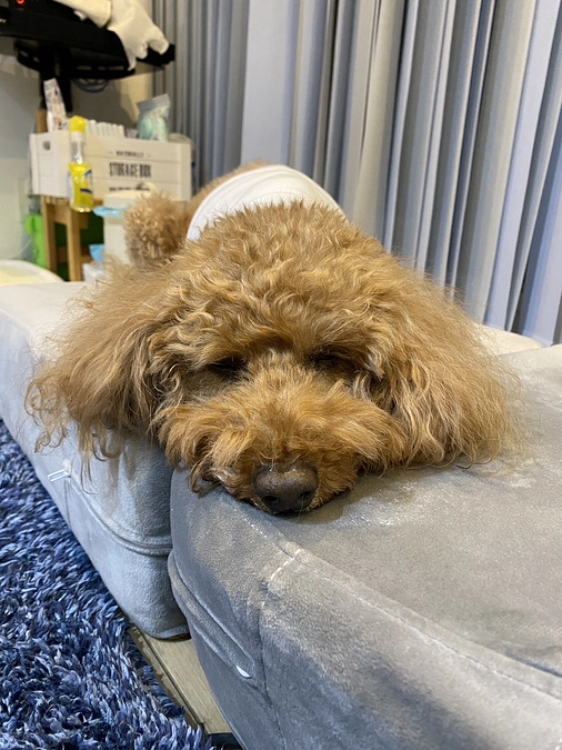 手術後退院翌日の状況と家族総出のサポート！