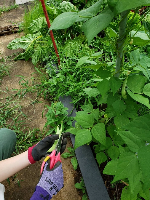 【2024年5-6月の活動報告】