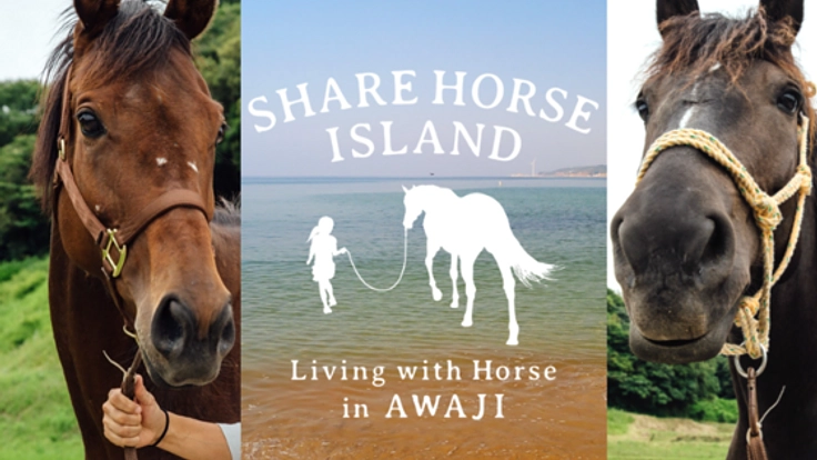 くらしに馬を　保護した馬達の居場所と仕事を淡路島の里山に創る