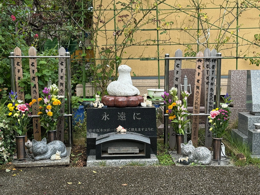 お礼とお知らせ２０２４年９月３０日