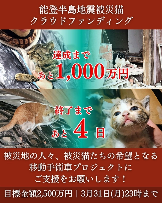 相模原市との12年の歩みと、新たな一歩。｜ 猫たちの未来のために