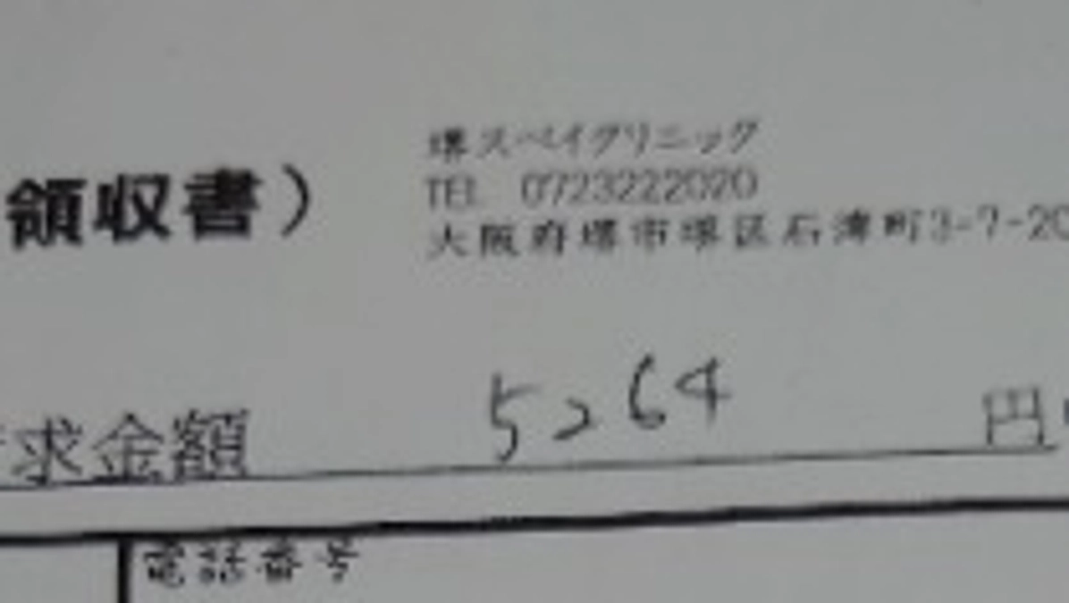 ハチワレの母猫の手術明細