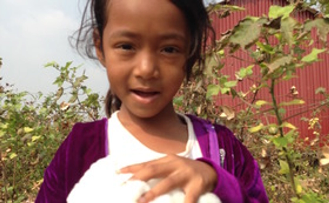 【ポストカードお届け】