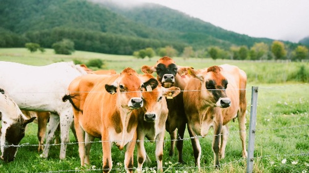 岡山一周の旅　５日目