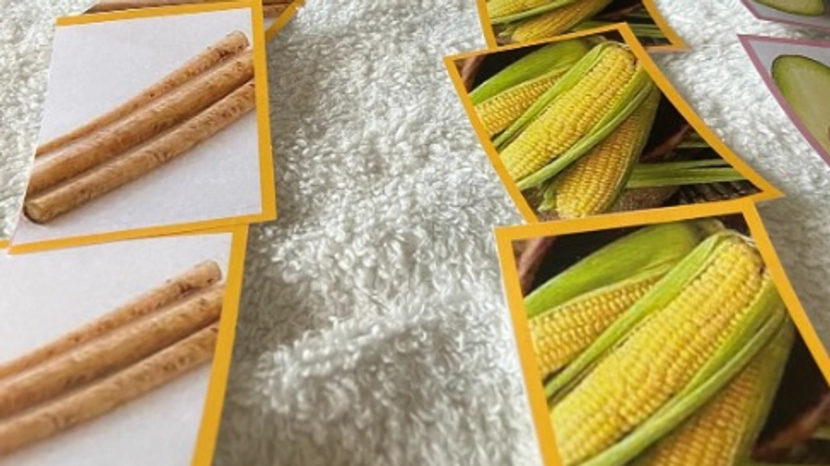 ふらっとフラットwith cats & dogsメンバーからの言葉　クッキー担当S.IさんN.Hさん