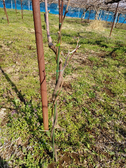 いよいよ新たな1年の始まり