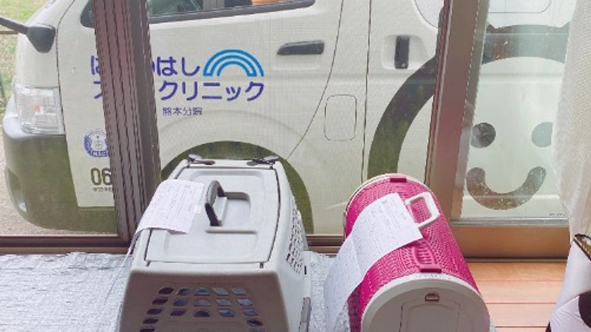 捨て猫を減らすには