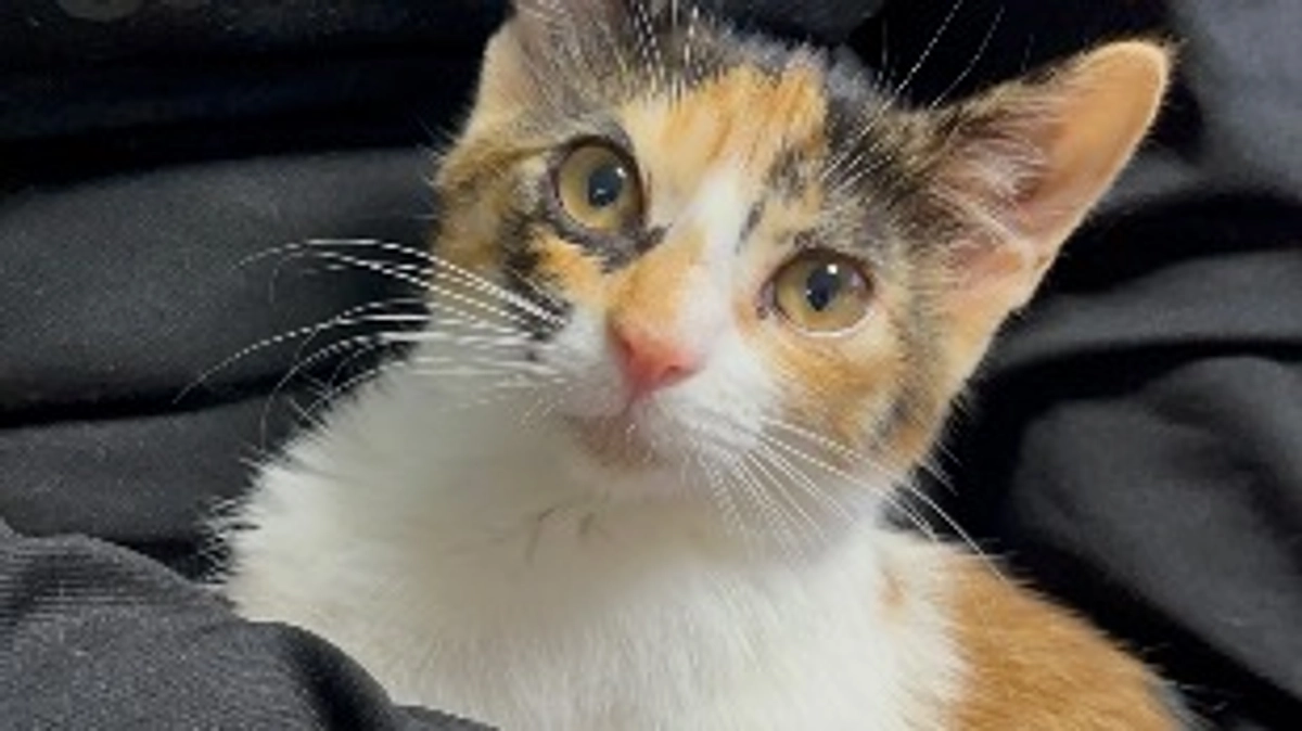 このは今朝は元気でした！