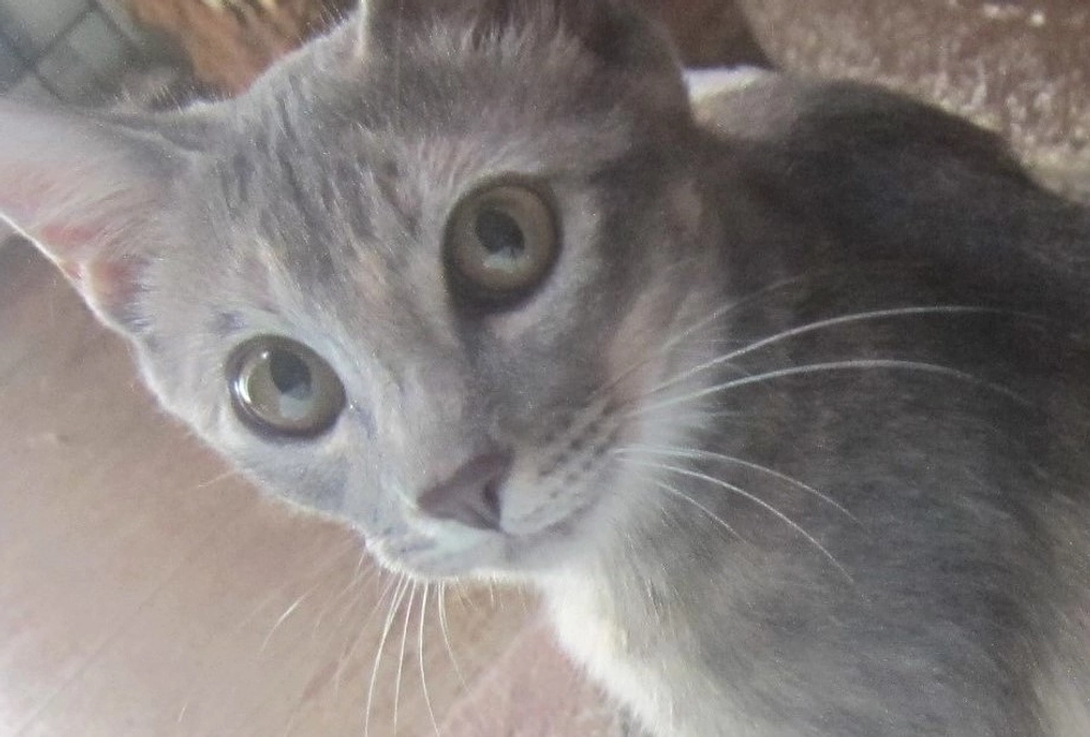 【残り4日間】ご支援ご協力を賜り感謝！