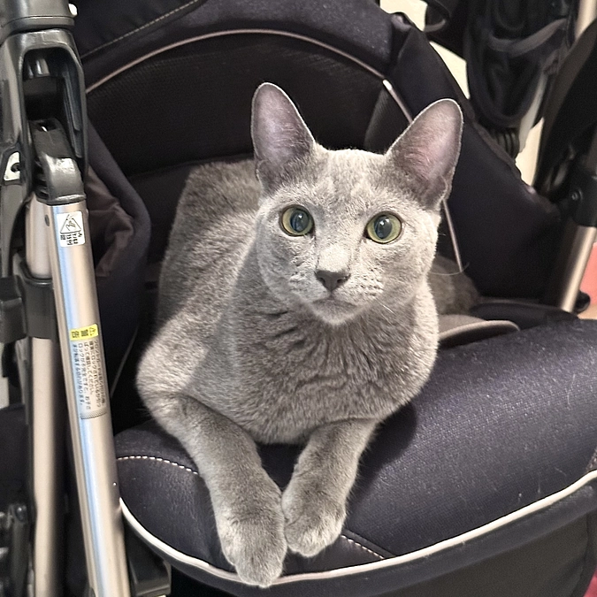 投薬30日目〜32日目