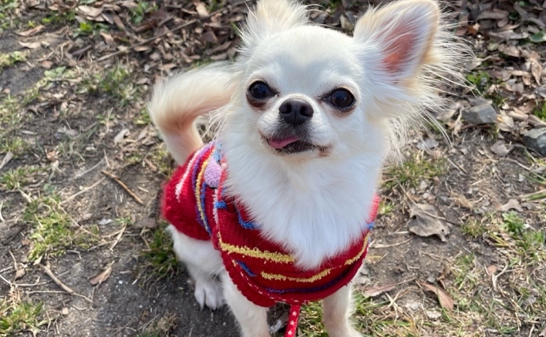 感謝のメールと活動報告2000