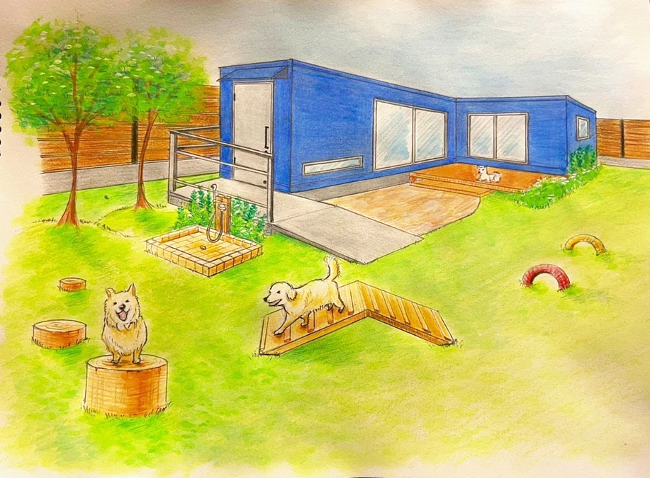 遂に！きな子トライアル開始！！