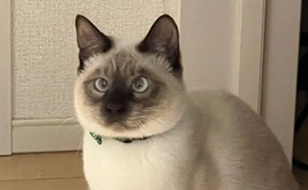 海くんへのご支援(1000円)