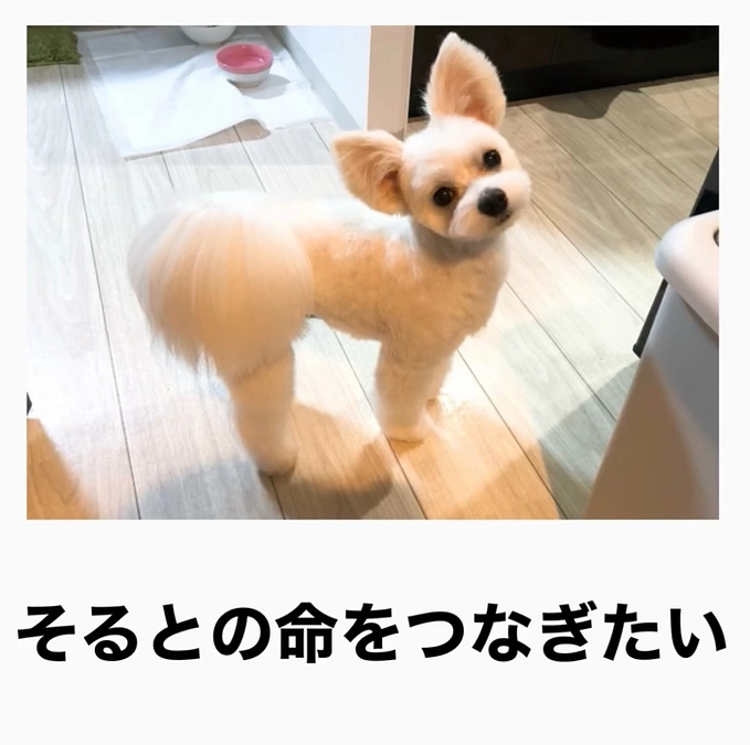 そるとと私たち家族の思い