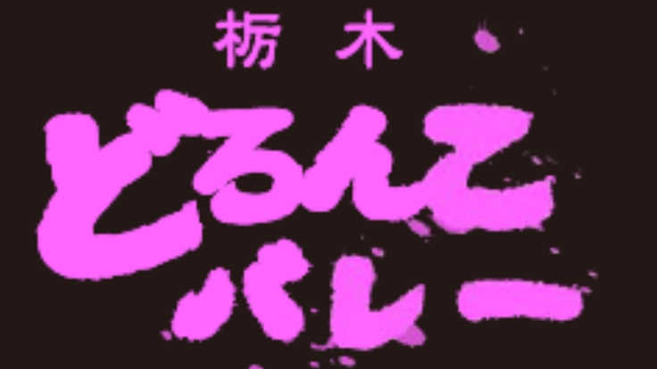 栃木どろんこカレー produced by 栃木どろんこバレー大会