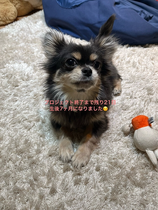 プロジェクト終了まで残り21日　皆様ご支援よろしくお願い致します。　活動報告3回目