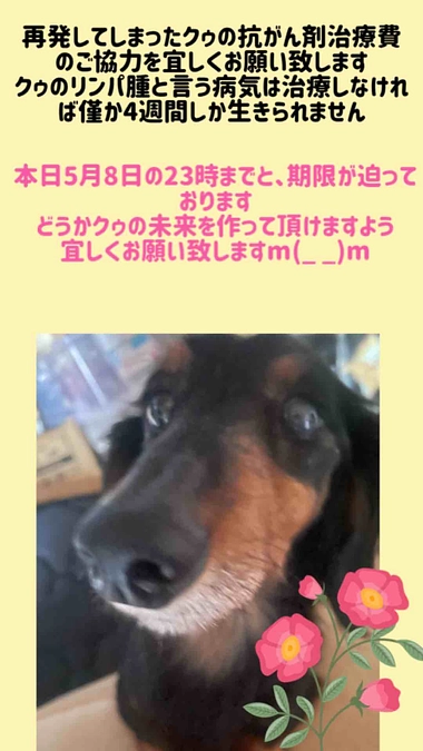 直接ご支援分になります2