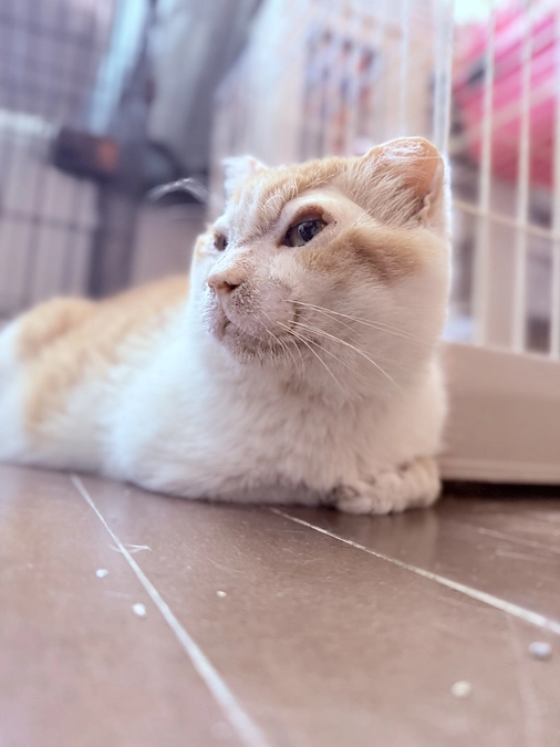 建物火災のから今日で１年。