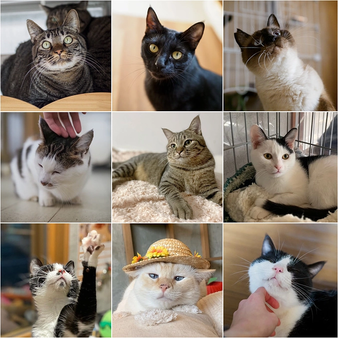 クラウドファンディング終了まで､あと5日‼️