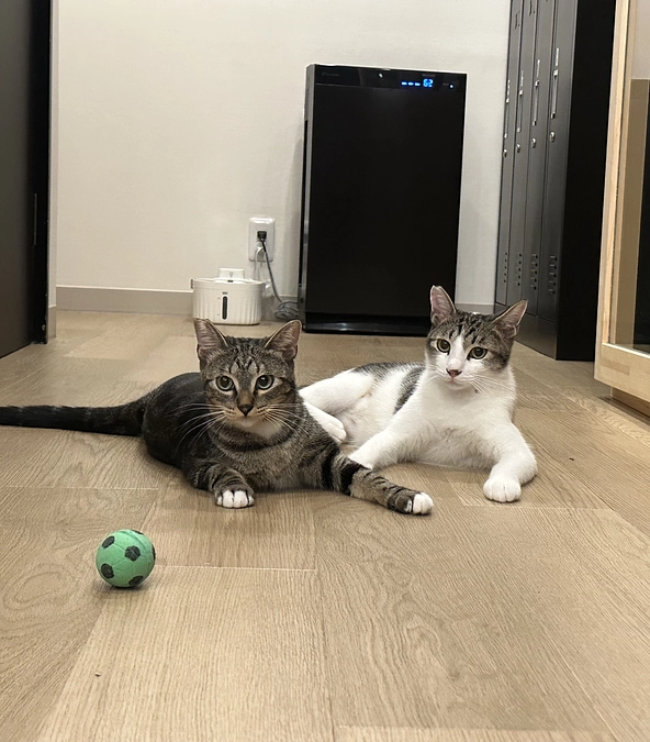 こんぶ・ちくわぶ誕生日🎉