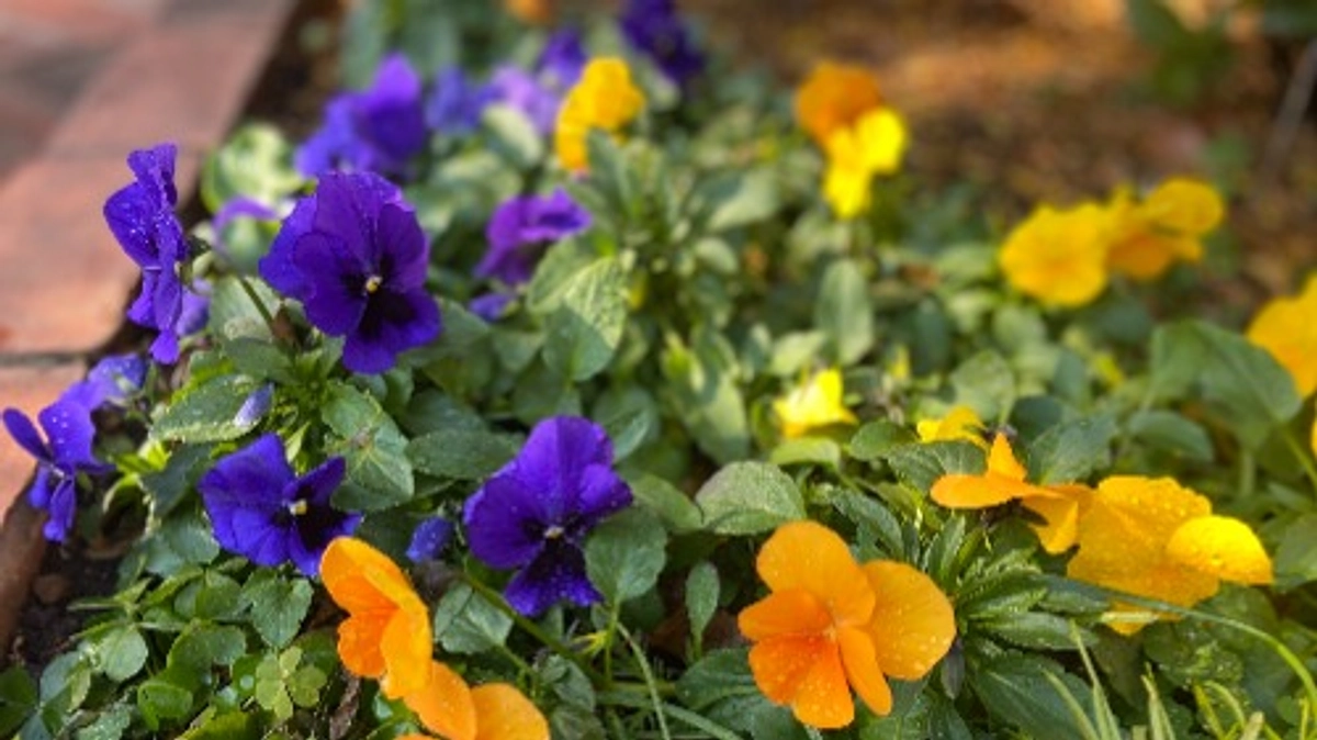 領収書の発行について