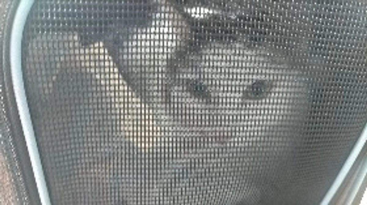 モカの経過ご報告☺