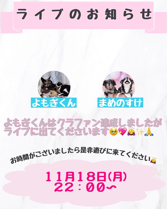 明日ライブします