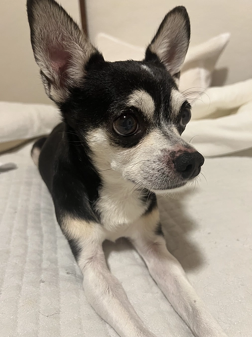 クラウドファンディング18日目‼︎