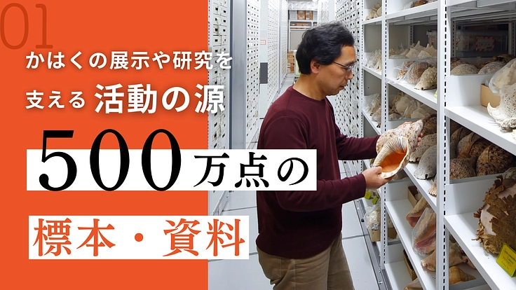 国立科学博物館マンスリーサポーター|地球の宝を守りつづける 2枚目