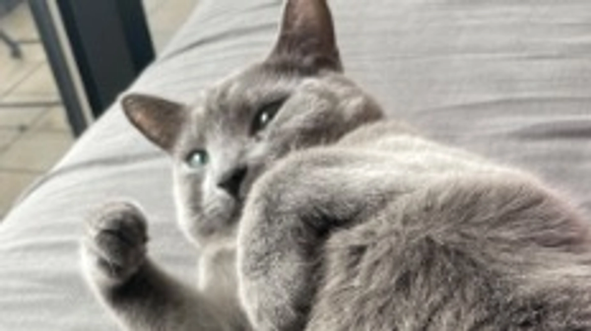 リターンに関して