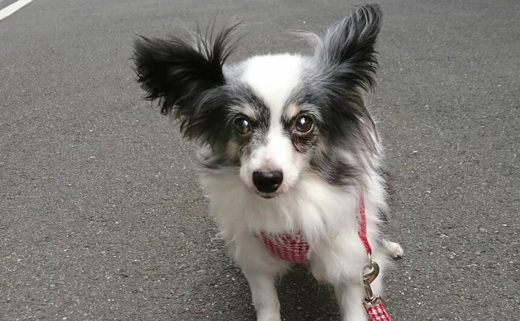 感謝の気持ちを込めたメールをお送り致します。2