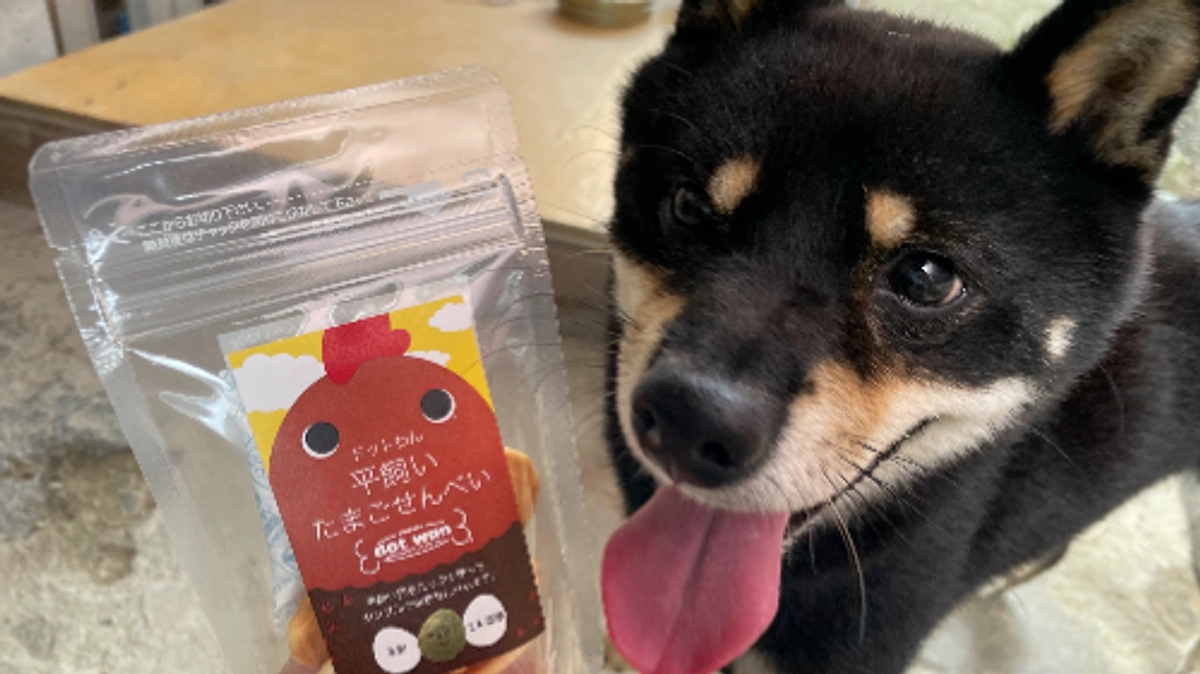 活動報告㉒｜愛犬「コタロウ」薫りが絶品の「炭火焼き」を実食！