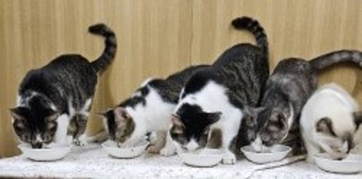 2023年　今年もありがとうございました！