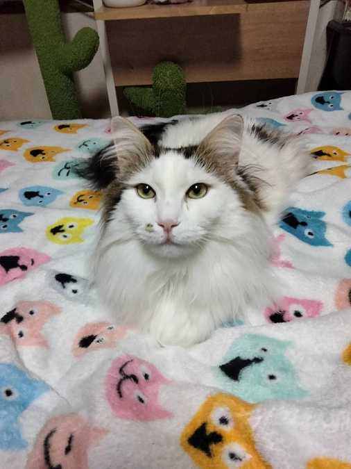 記録①2025.10.19〜23