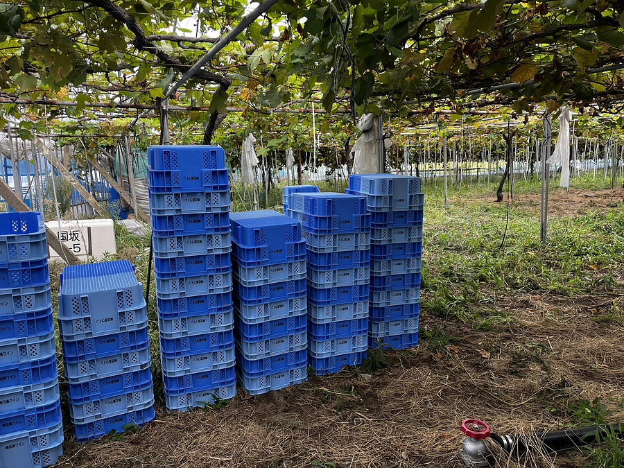 リターンの発送に関して