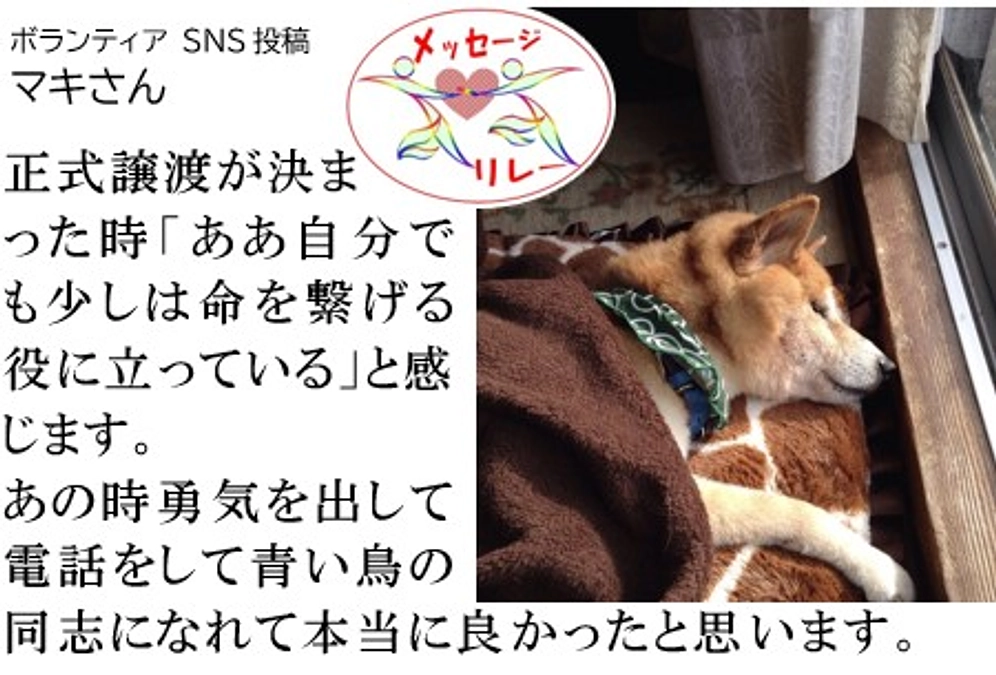 リレー２４．青い鳥に素晴らしさは、皆が責任を持ち自分のできる事を精一杯していること！