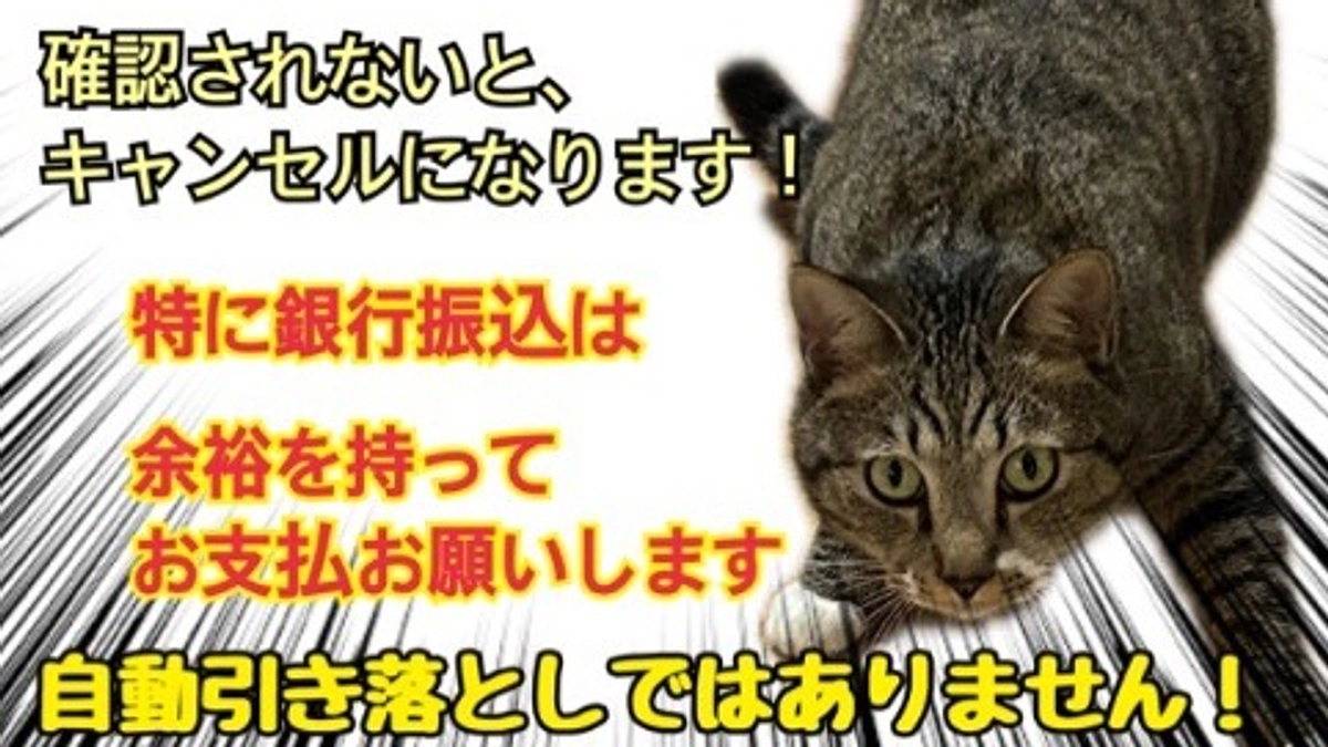 【いま一度ご確認ください…！】コンビニ決済の支援者様へご連絡です