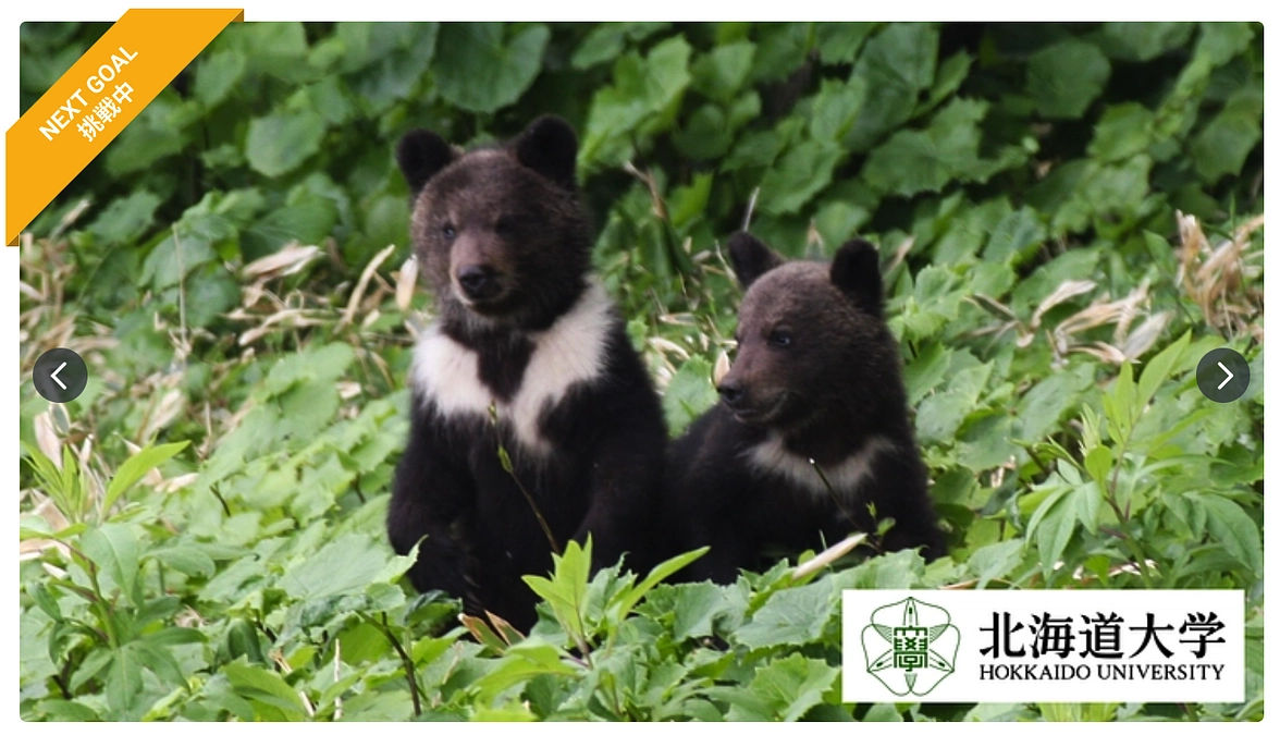 共同研究者の北海道大学 坪田 敏男 先生が2度目のクラウドファンディングに挑戦しています！！
