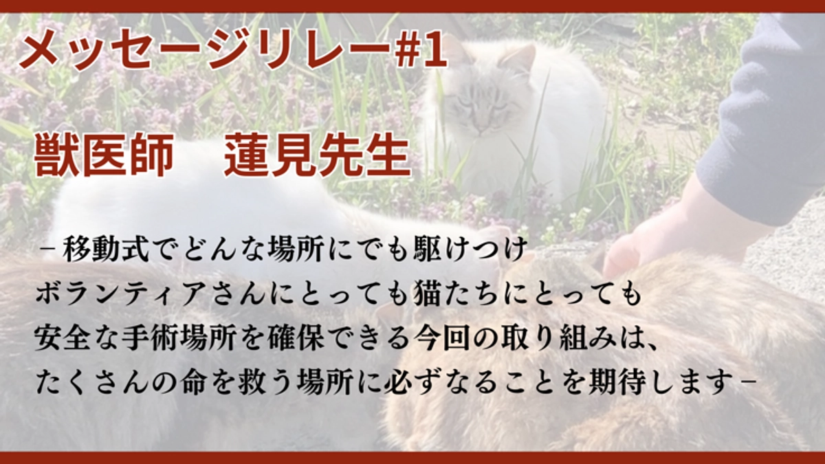 メッセージ#1 獣医師蓮見先生「能登の現場に同行し、まず感じたのはボランティアさんの熱意」
