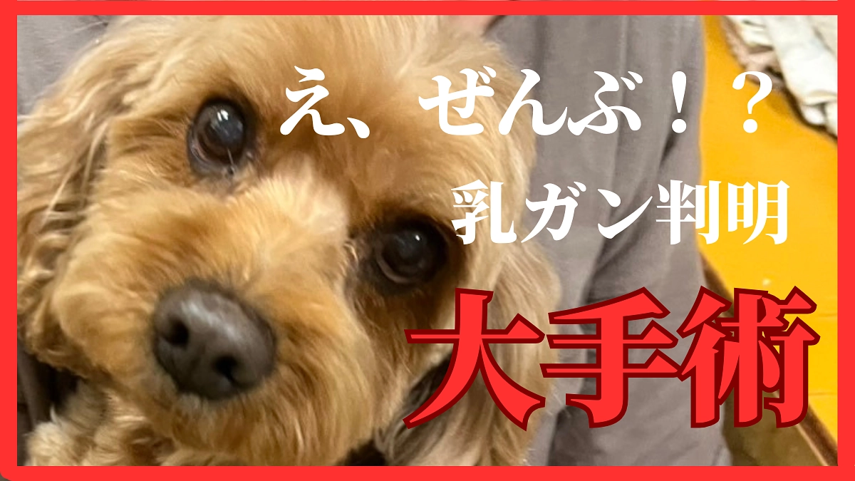 まさかの乳がんで大手術😱💦