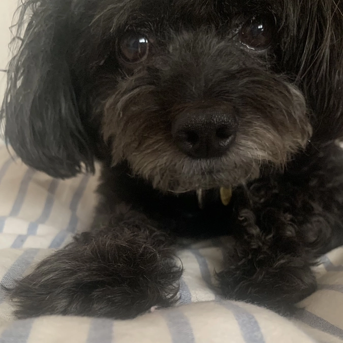 開始しました。どうぞよろしくお願いします！