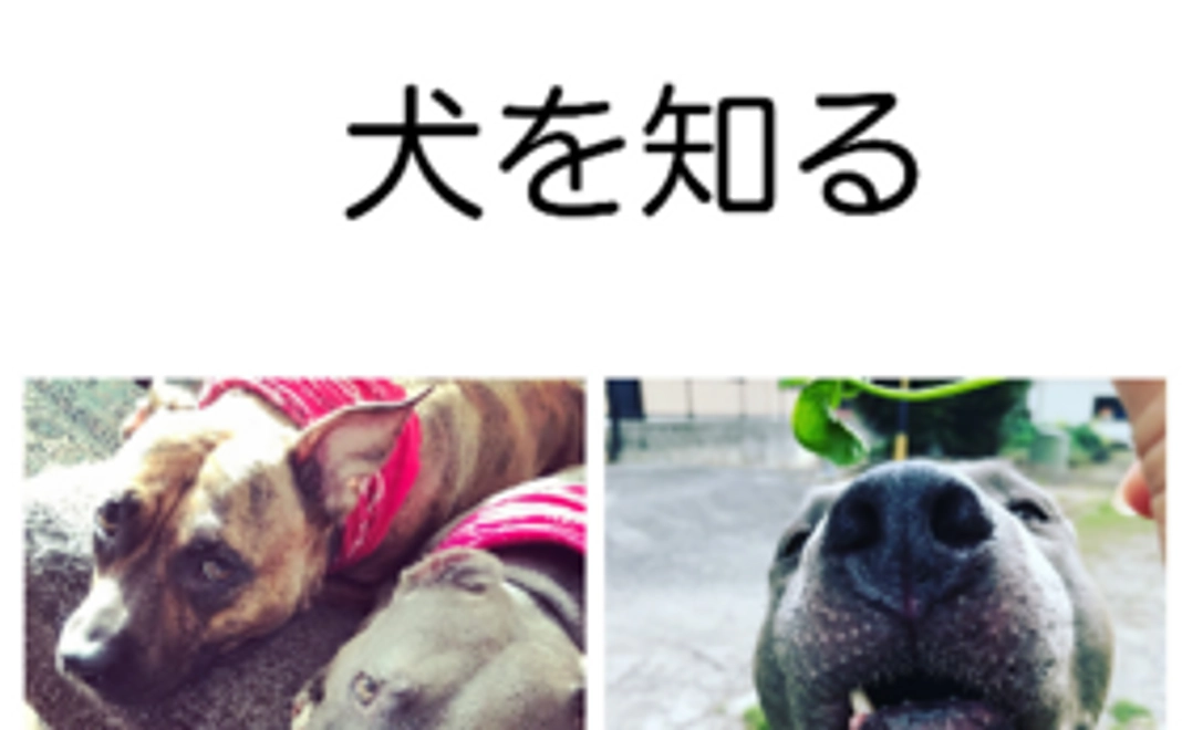 サンキューメールとKindle本