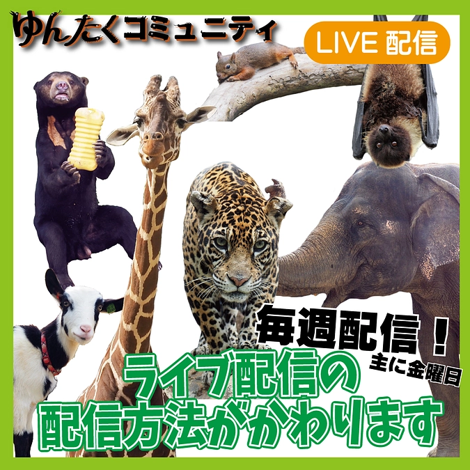 ゆんたくコミュニティ、ライブ配信がかわります！