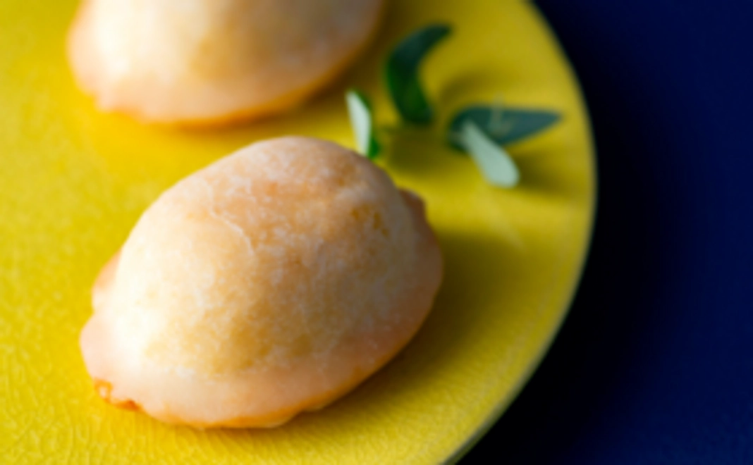 連理といしの家　応援コース　A